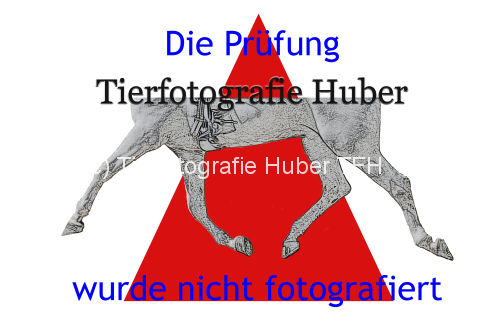 Logo TF-Huber dreieck nicht foto.jpg
